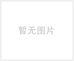 ZAPO W66L 300M无线网卡 台式机上网笔记本无线USB网卡WIFI接收器